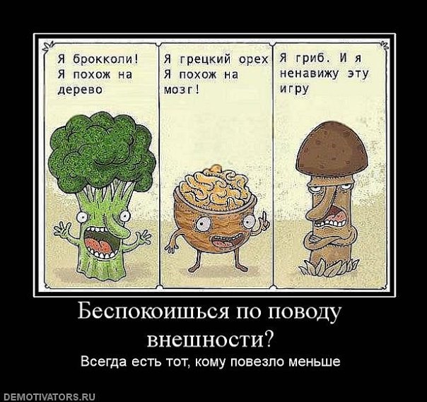 http://cs4435.vkontakte.ru/u21126001/108760173/x_504e33d7.jpg